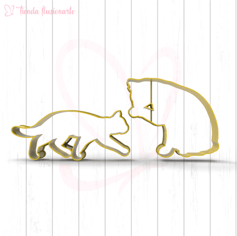 Set 2 Gatos